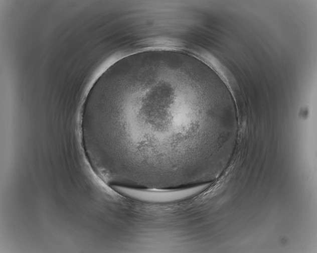 X0000097651243200802291443