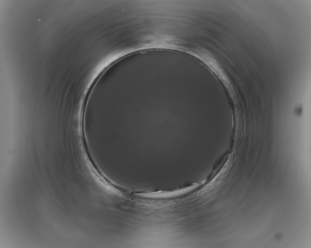 X0000097651246200802291443