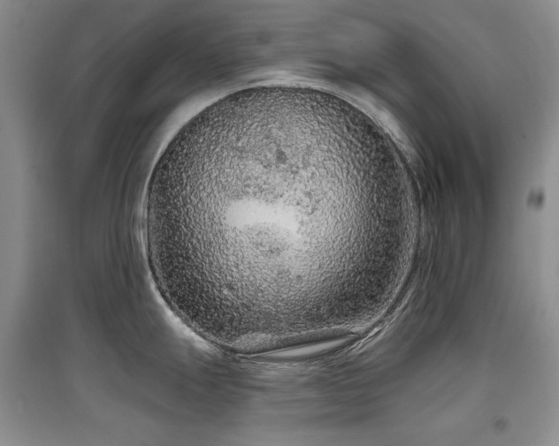 X0000097651247200802291443