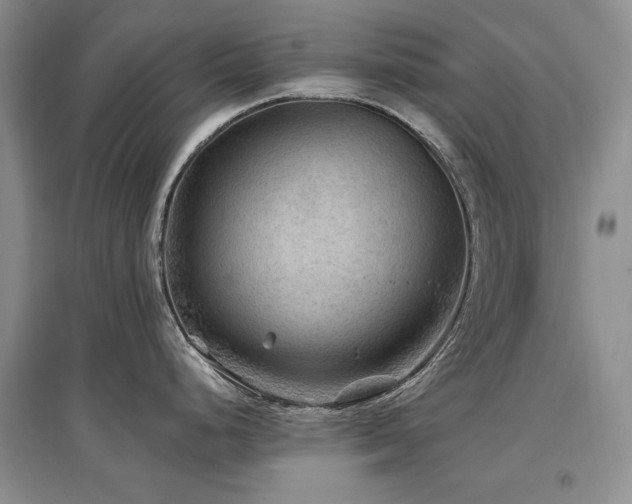 X0000097651248200802291443