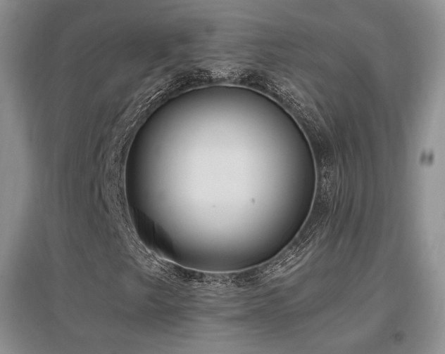 X0000097651249200802291442