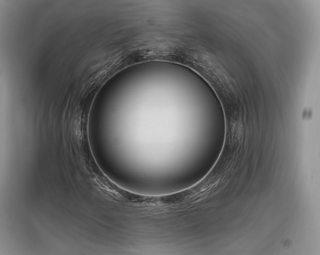 X0000097651250200802291442