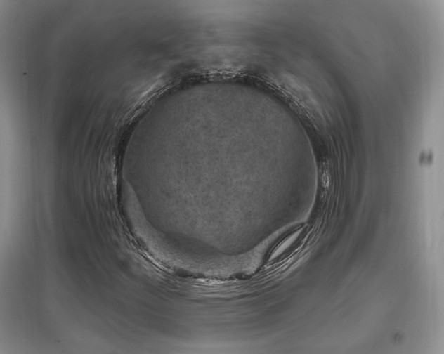 X0000097651252200802291442