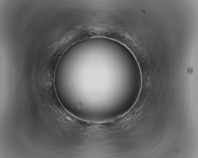 X0000097651253200802291442