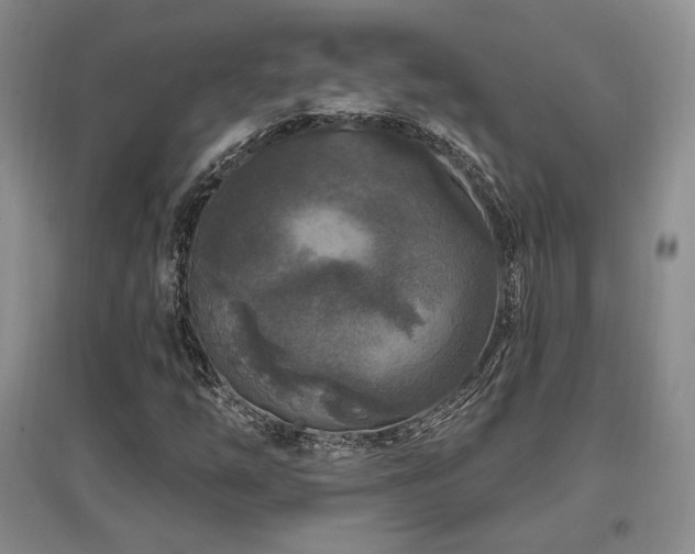 X0000097651254200802291442