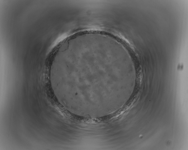 X0000097651255200802291442