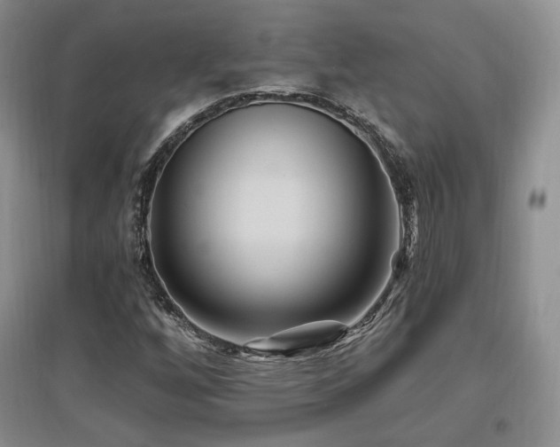 X0000097651256200802291442