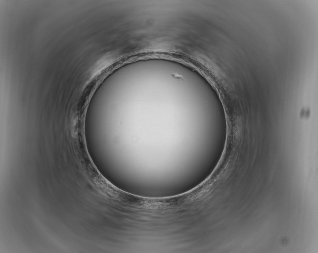 X0000097651258200802291442