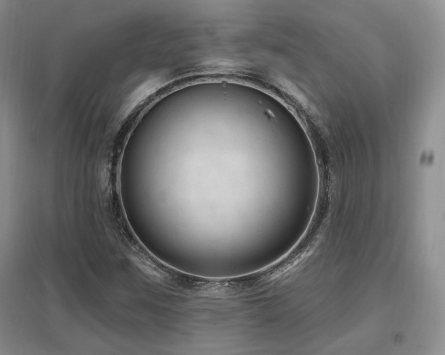 X0000097651259200802291442
