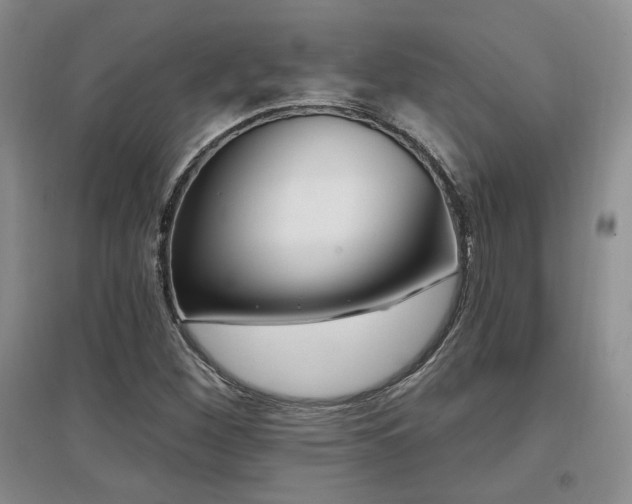 X0000097651260200802291442
