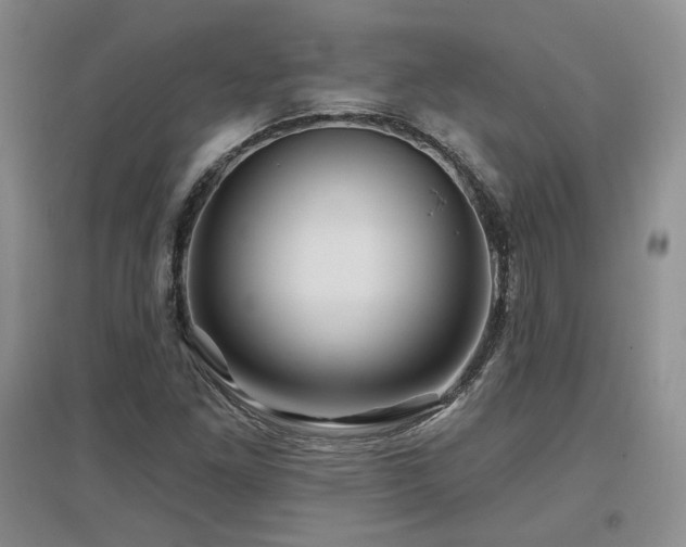 X0000097651261200802291442
