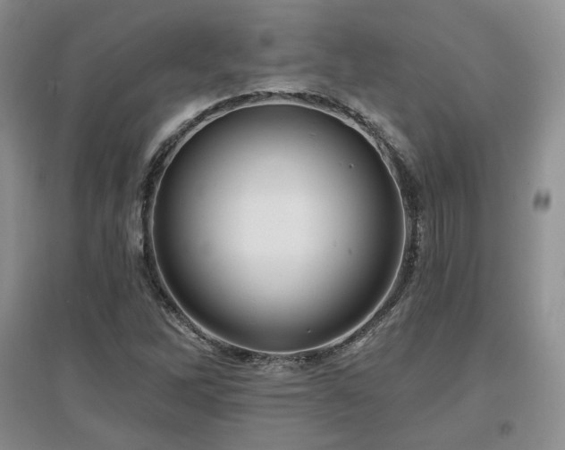 X0000097651262200802291442