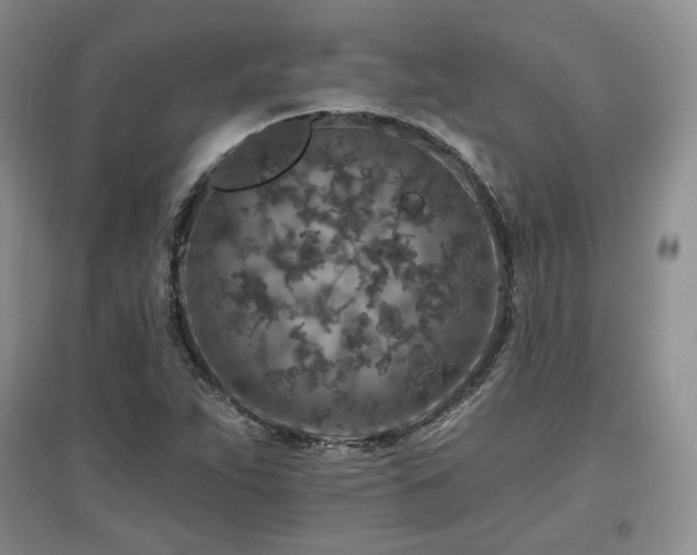 X0000097651263200802291442