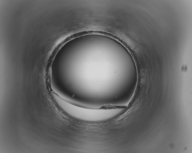 X0000097651264200802291442