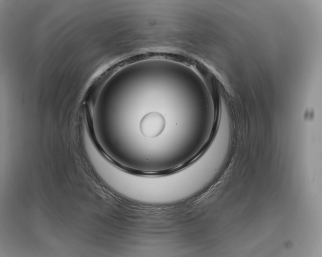 X0000097651266200802291442