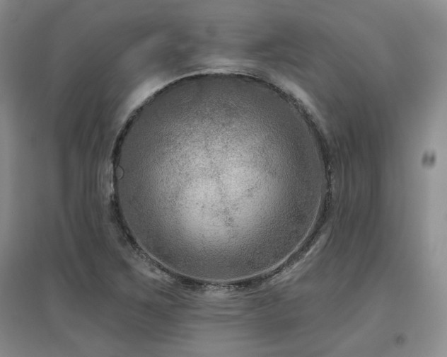 X0000097651267200802291442