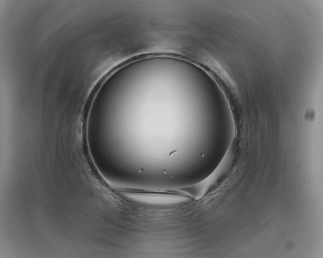 X0000097651268200802291442