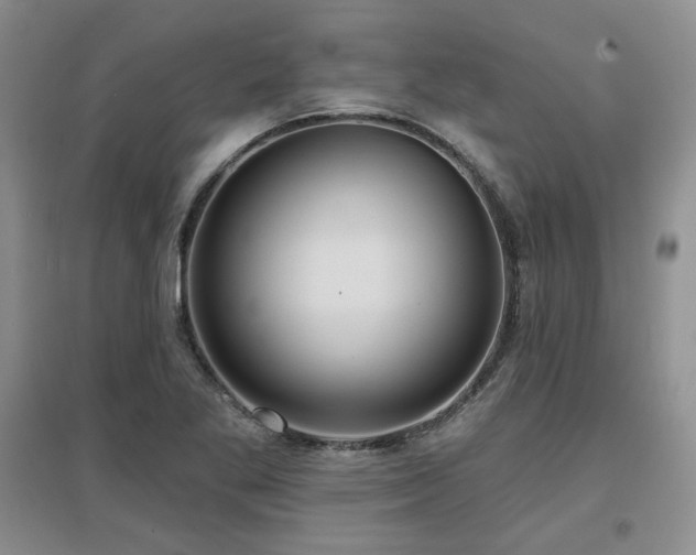 X0000097651269200802291442