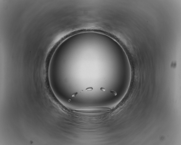 X0000097651270200802291442