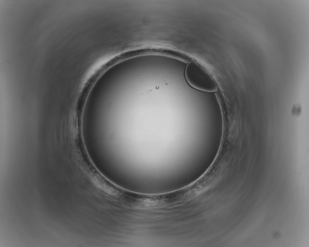 X0000097651271200802291442