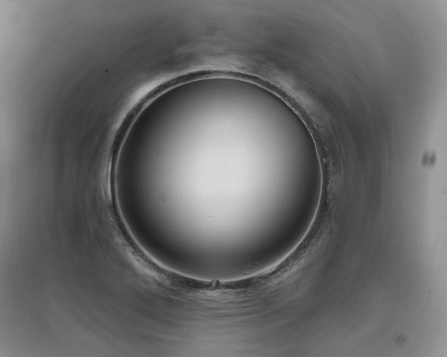 X0000097651272200802291442