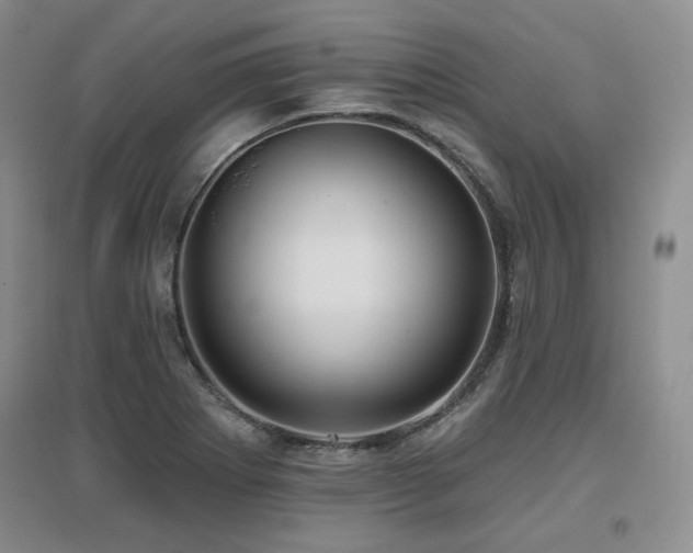 X0000097651273200802291442