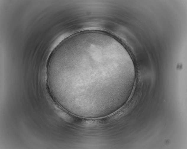 X0000097651274200802291442