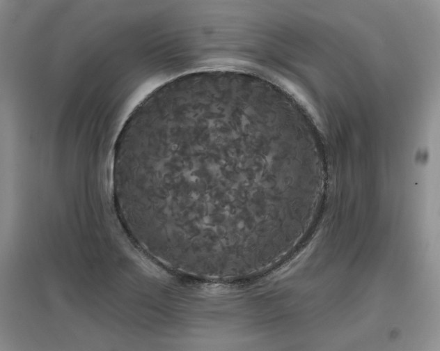 X0000097651275200802291442