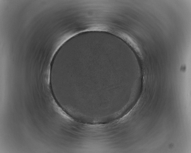 X0000097651276200802291442
