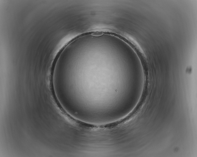 X0000097651277200802291442