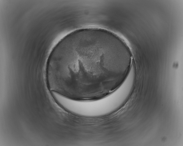 X0000097651279200802291441
