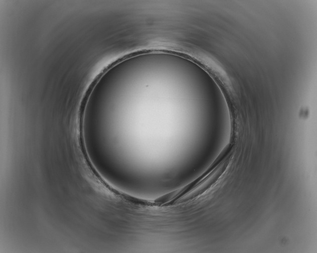 X0000097651280200802291441