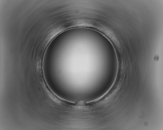 X0000097651281200802291441