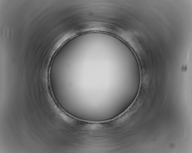 X0000097651282200802291441