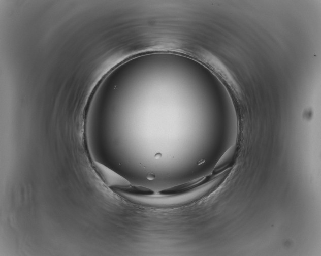 X0000097651284200802291441