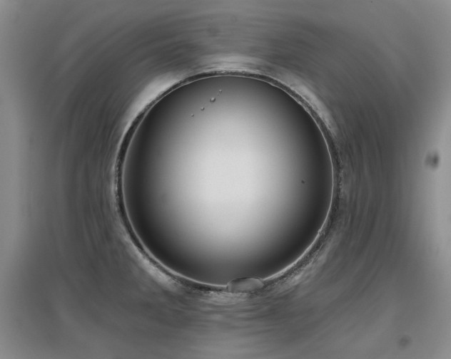 X0000097651285200802291441