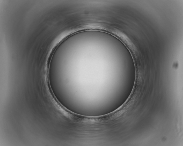 X0000097651286200802291441
