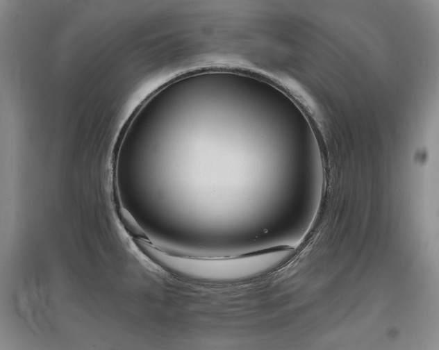 X0000097651287200802291441
