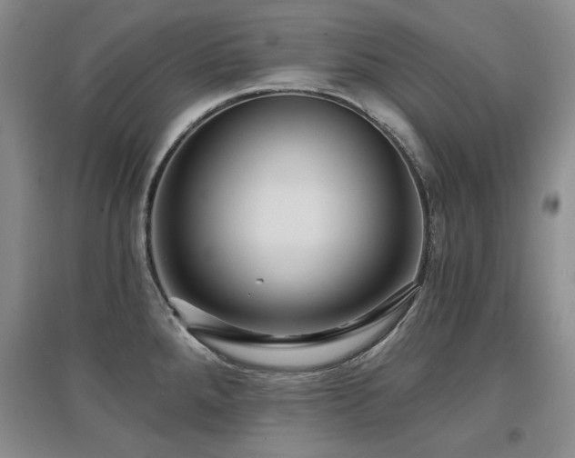 X0000097651288200802291441