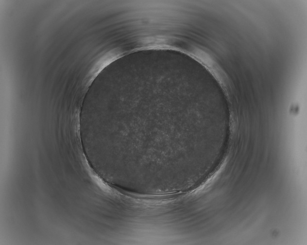 X0000097651289200802291441
