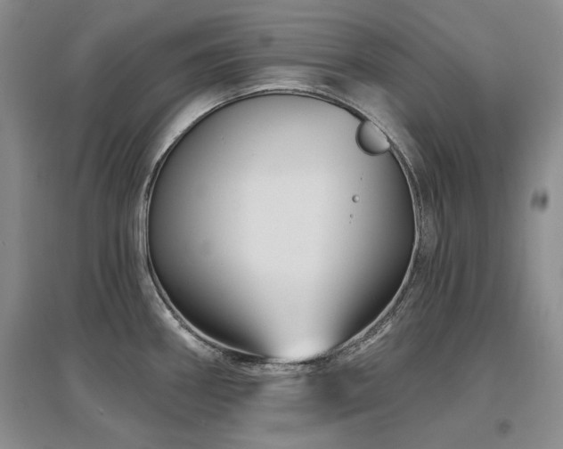 X0000097651290200802291441