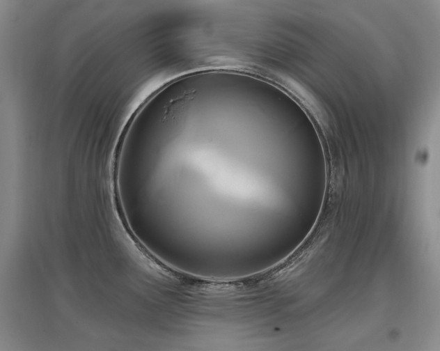 X0000097651291200802291441