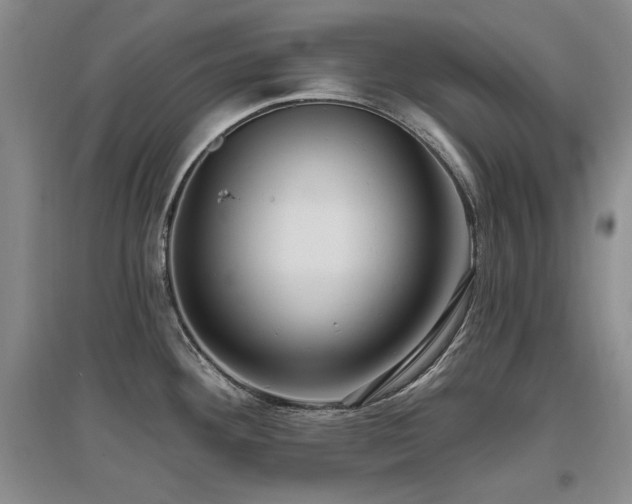 X0000097651292200802291441