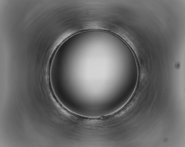 X0000097651293200802291441