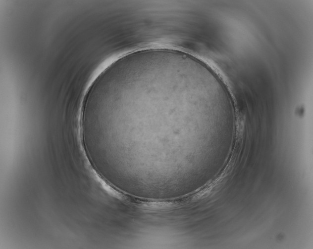 X0000097651294200802291441