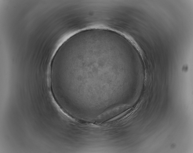X0000097651295200802291441
