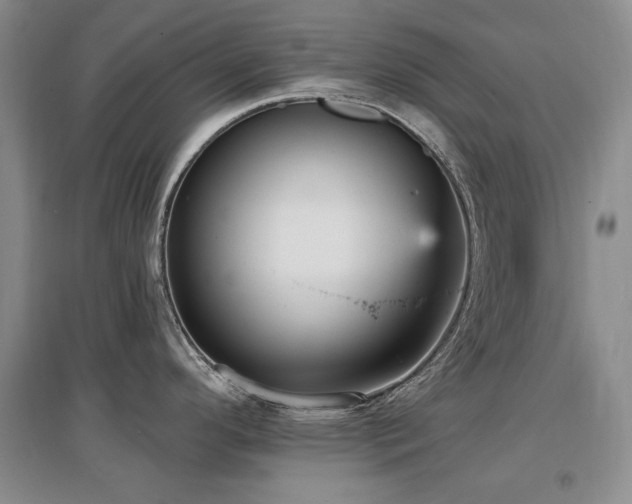X0000097651296200802291441