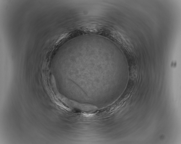 X0000097651297200802291441