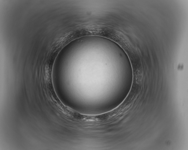 X0000097651298200802291441