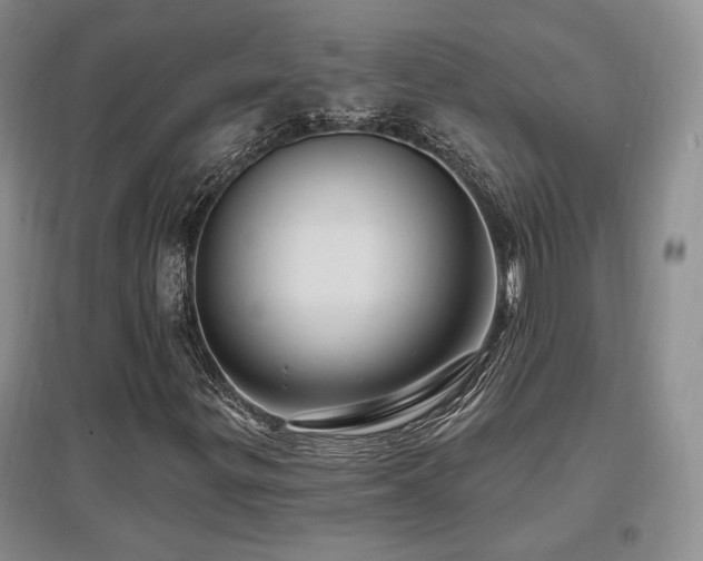 X0000097651299200802291441